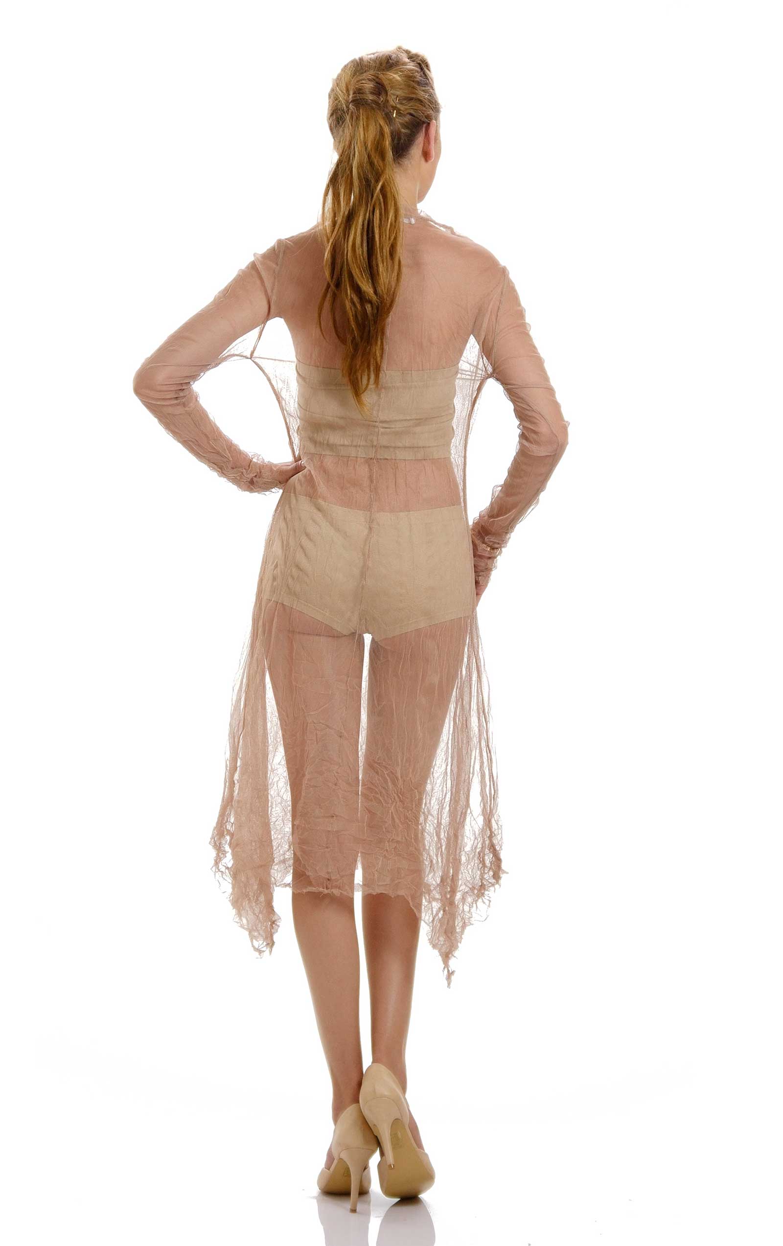Mesh Long Sleeve Dress/Slip - Shop Lev
