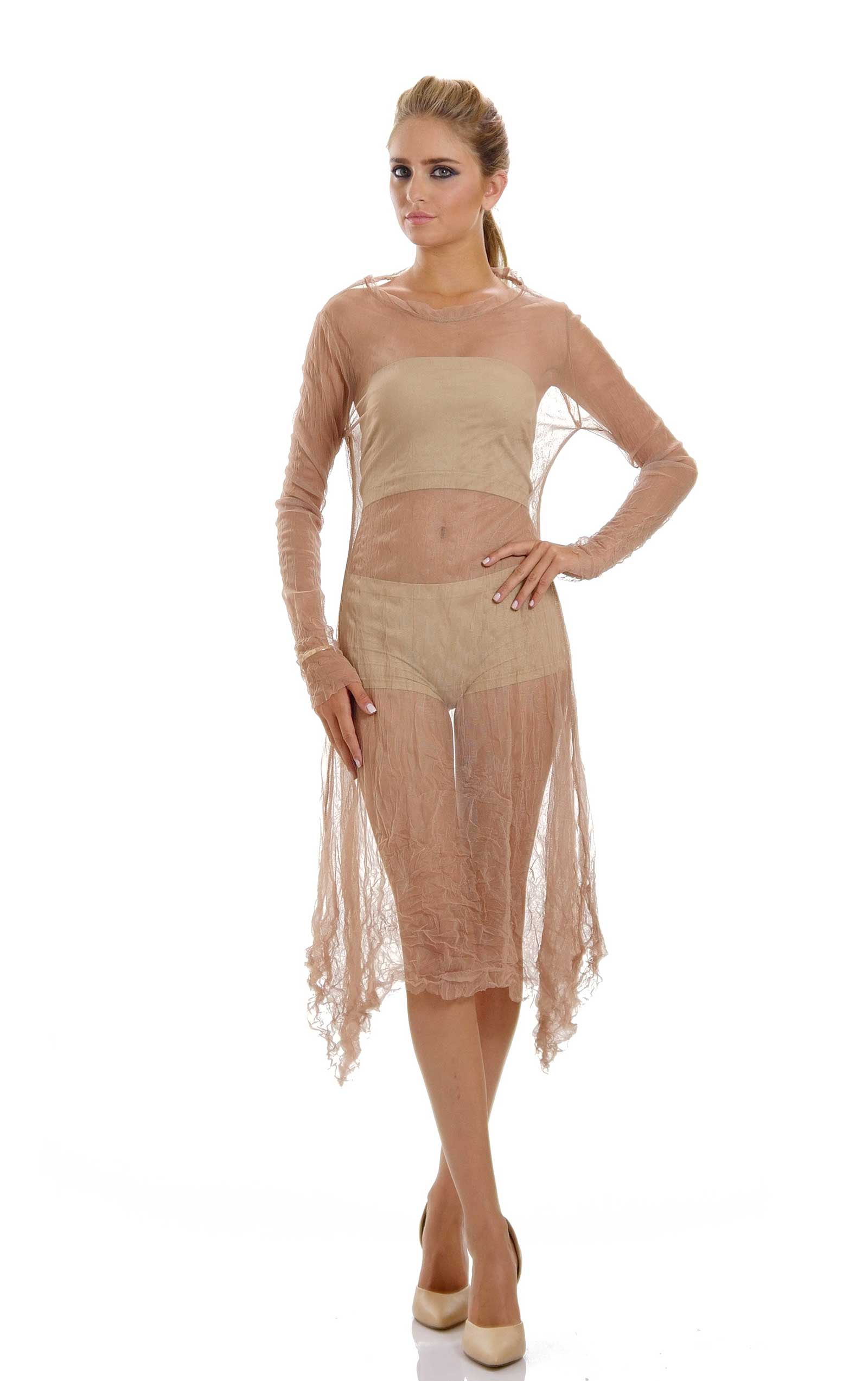 Mesh Long Sleeve Dress/Slip - Shop Lev