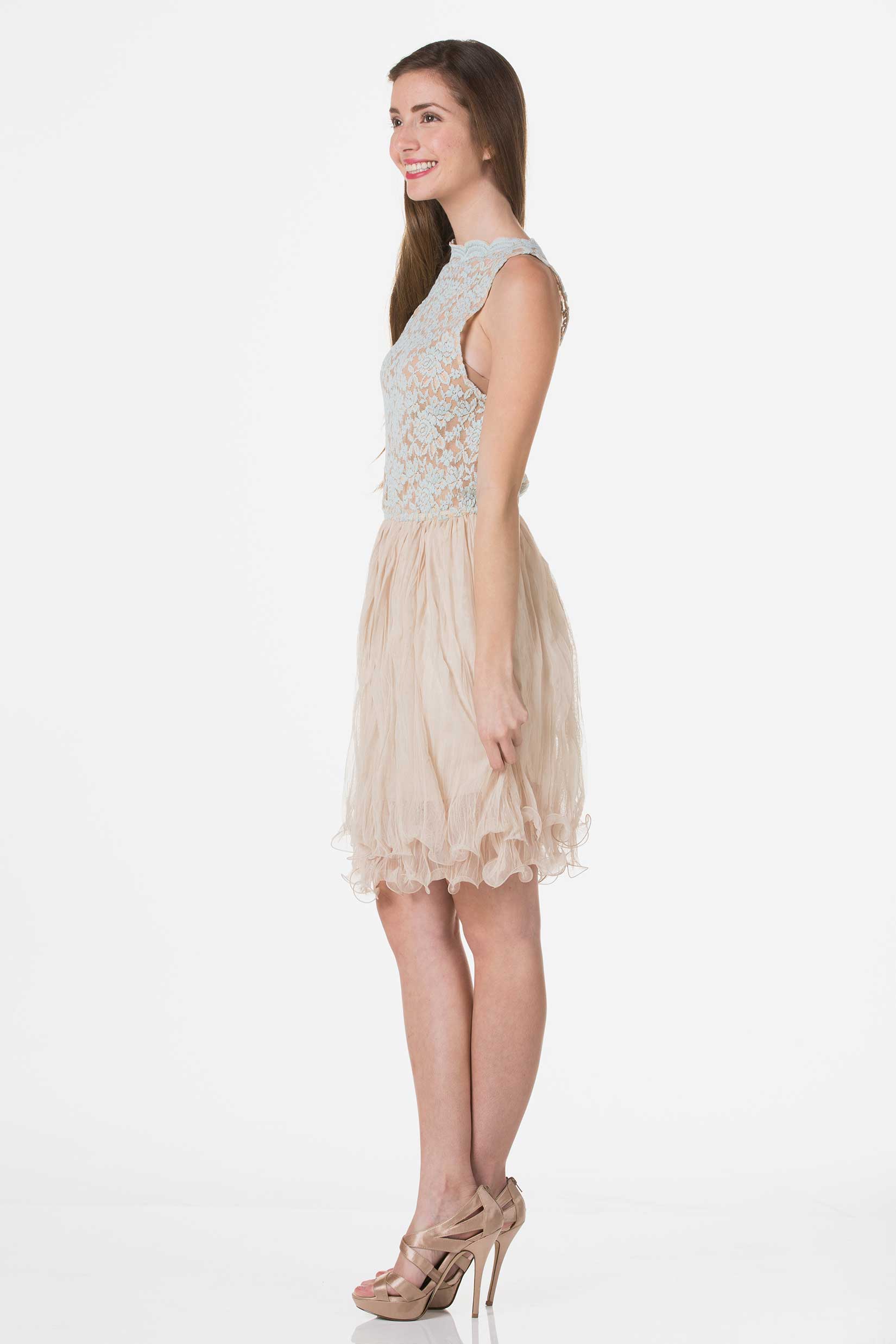 Embossed Lace Midi Dress with Crinkled Mesh Skirt - Shop Lev