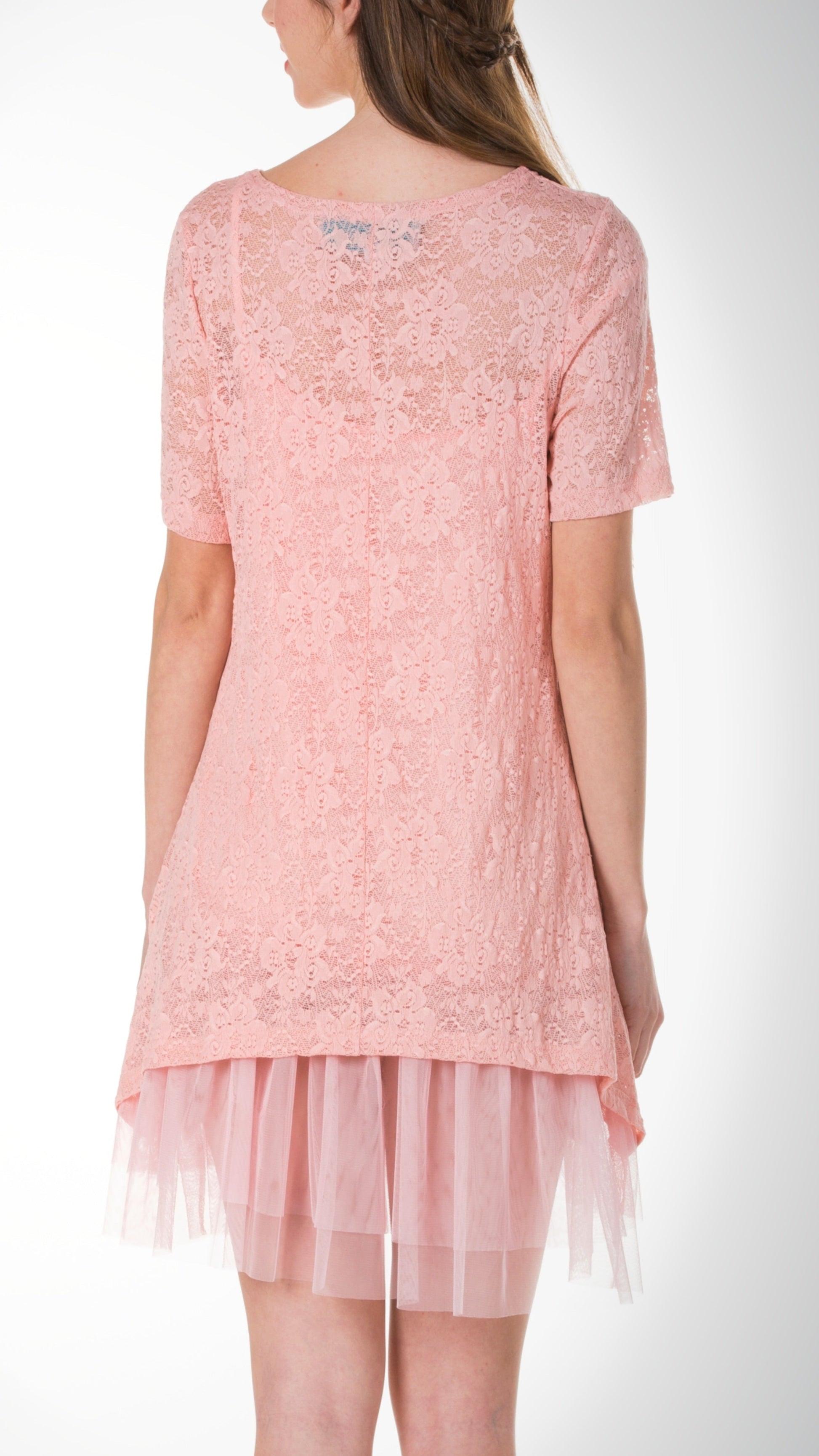 Lace Short Sleeve Dress with Mesh Slip - Shop Lev