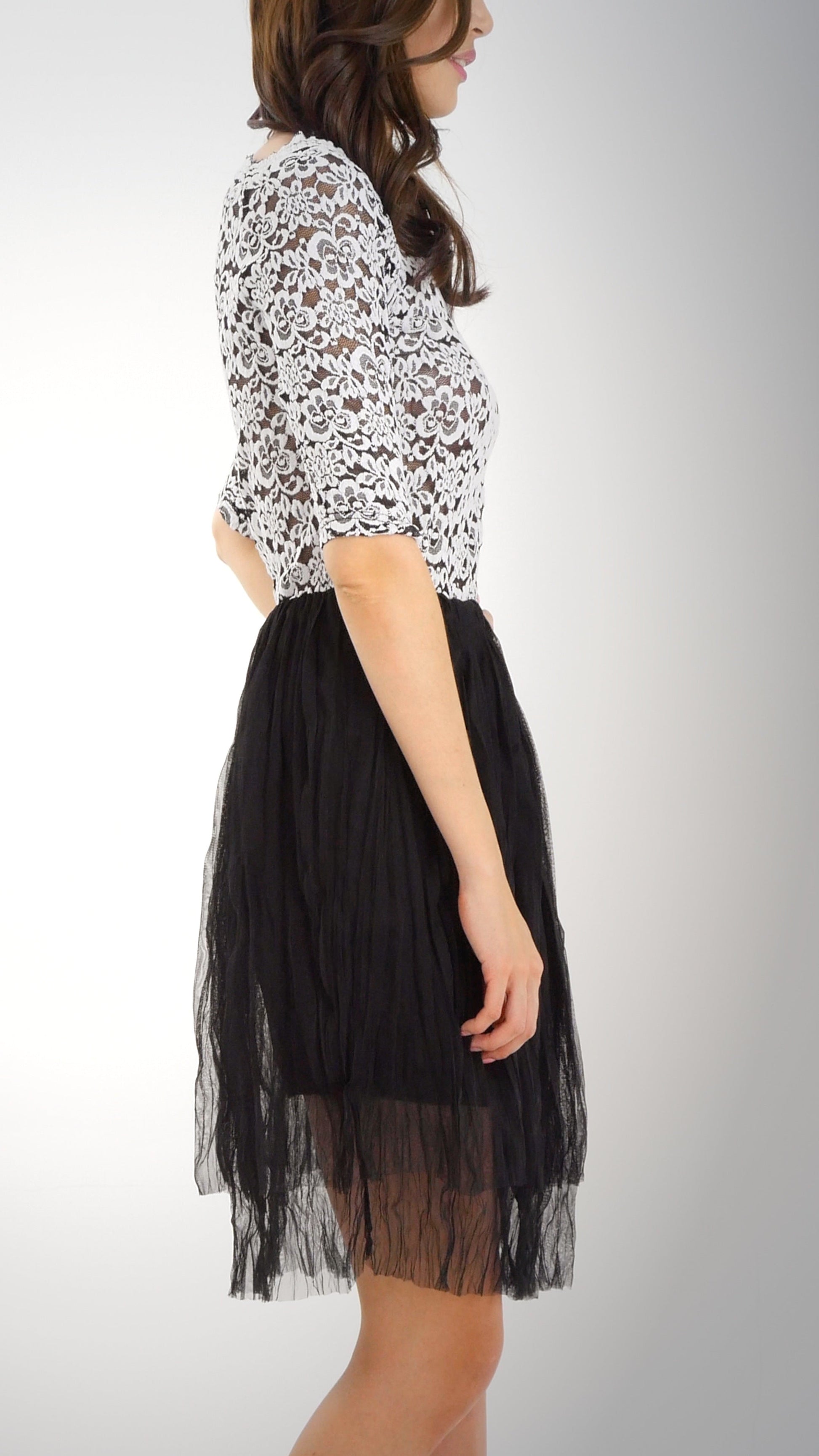 Women's Half Sleeve Lace Mesh Dress - Shop Lev